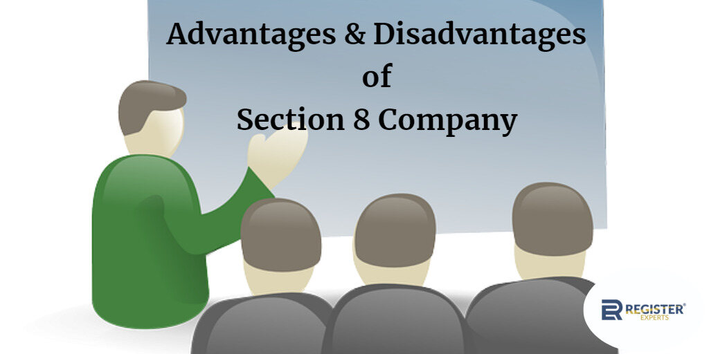 advantages and disadvantages of section 8 company